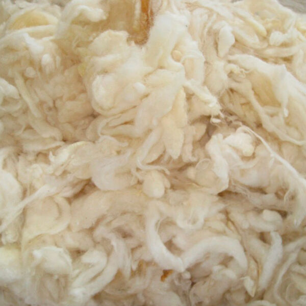 11Lana Lavada Top Wool