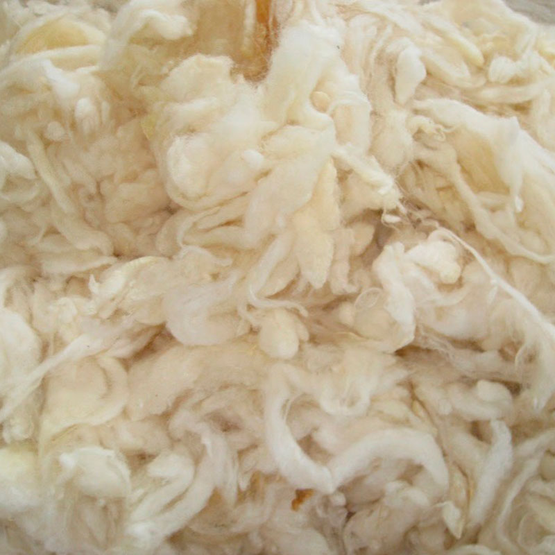 11Lana Lavada Top Wool